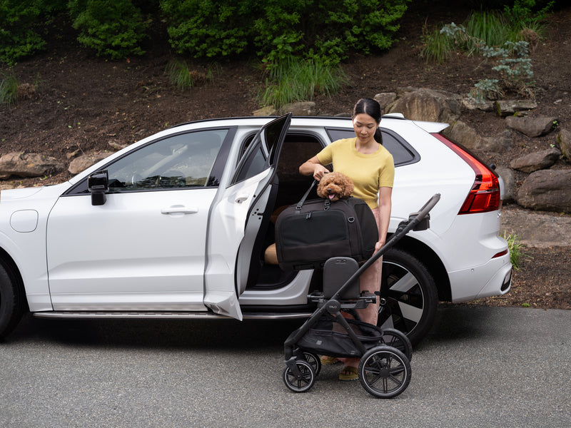 Pet Car Safety: Choosing the Safest Dog Car Seats, Cat Carriers & Travel Systems