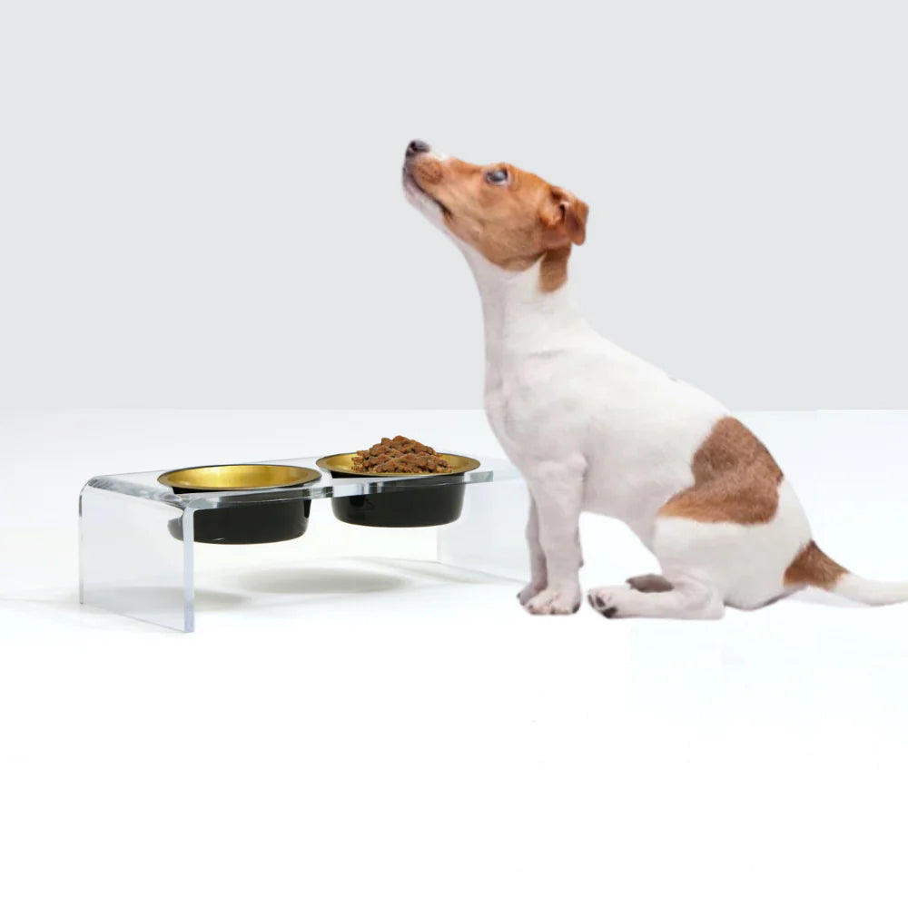 Attractive Dog Crate Furniture & Clear Acrylic Pet Gates