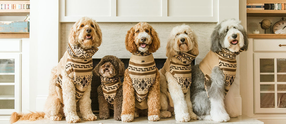 Pendleton Dog Coats