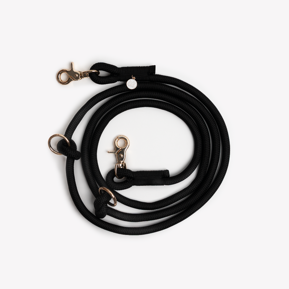 Black dog leash with gold clasp on a white background