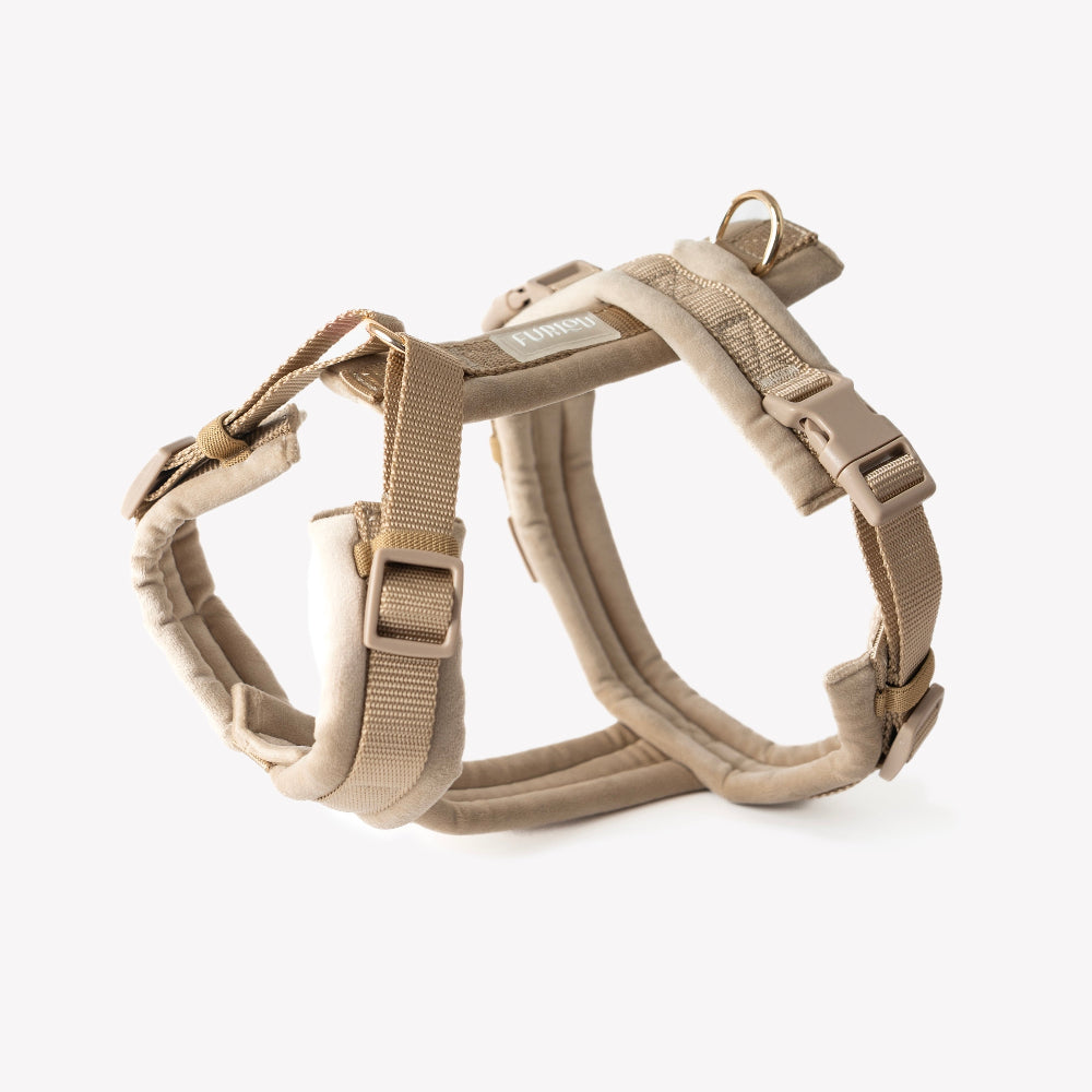 Beige dog harness on a white background