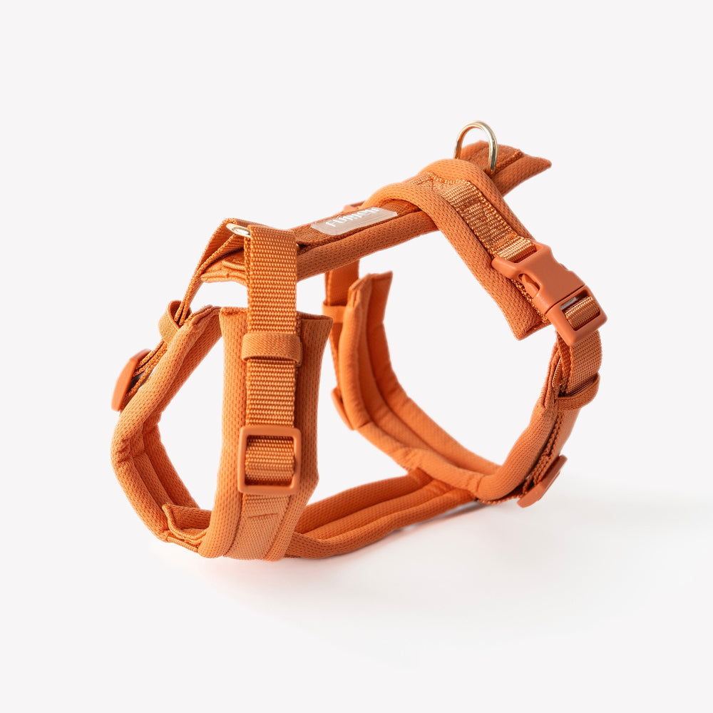 Orange dog harness on a white background