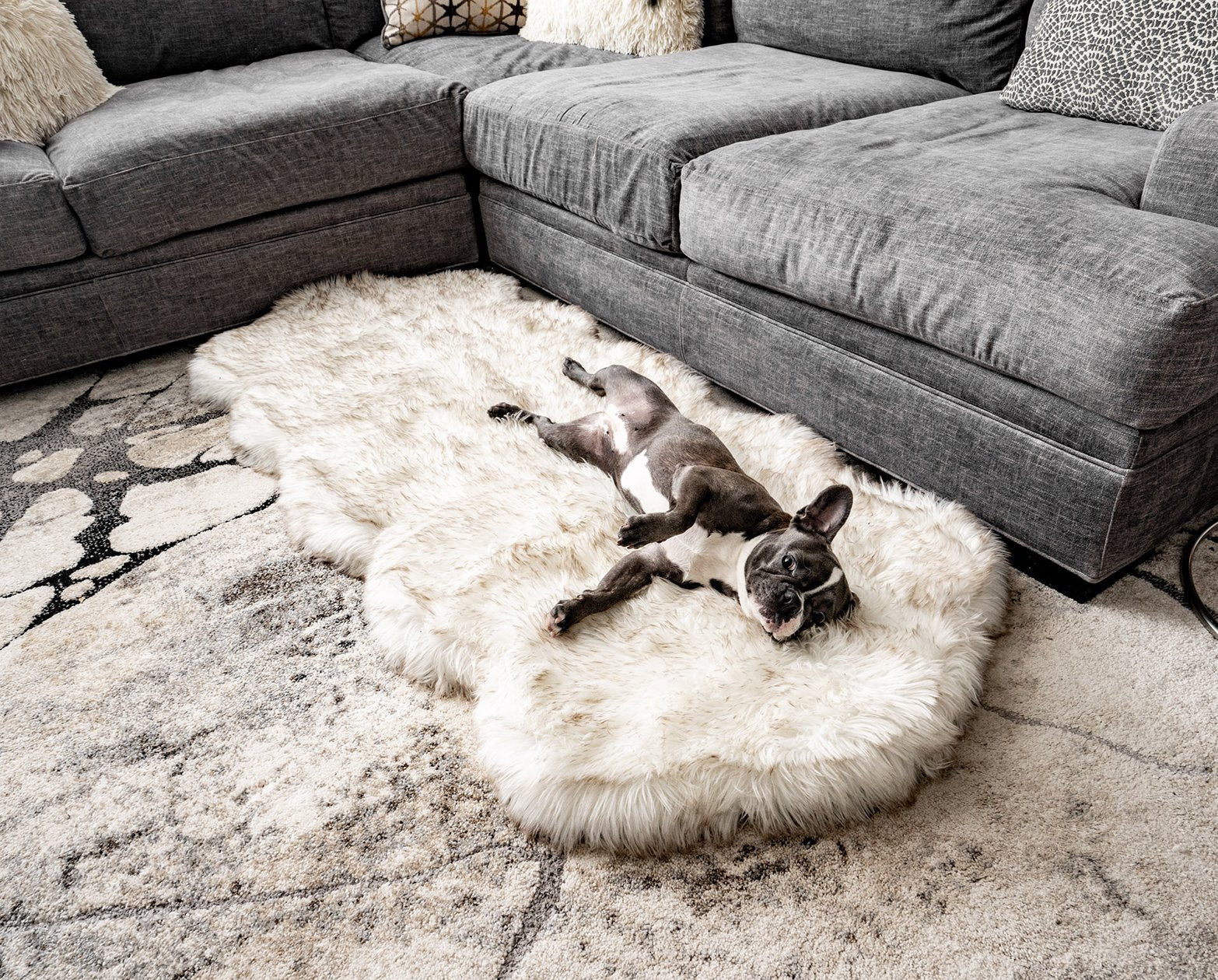 Puprug Orthopedic Faux Fur, Luxury Memory Foam Dog Bed, Curve White with Brown Accents