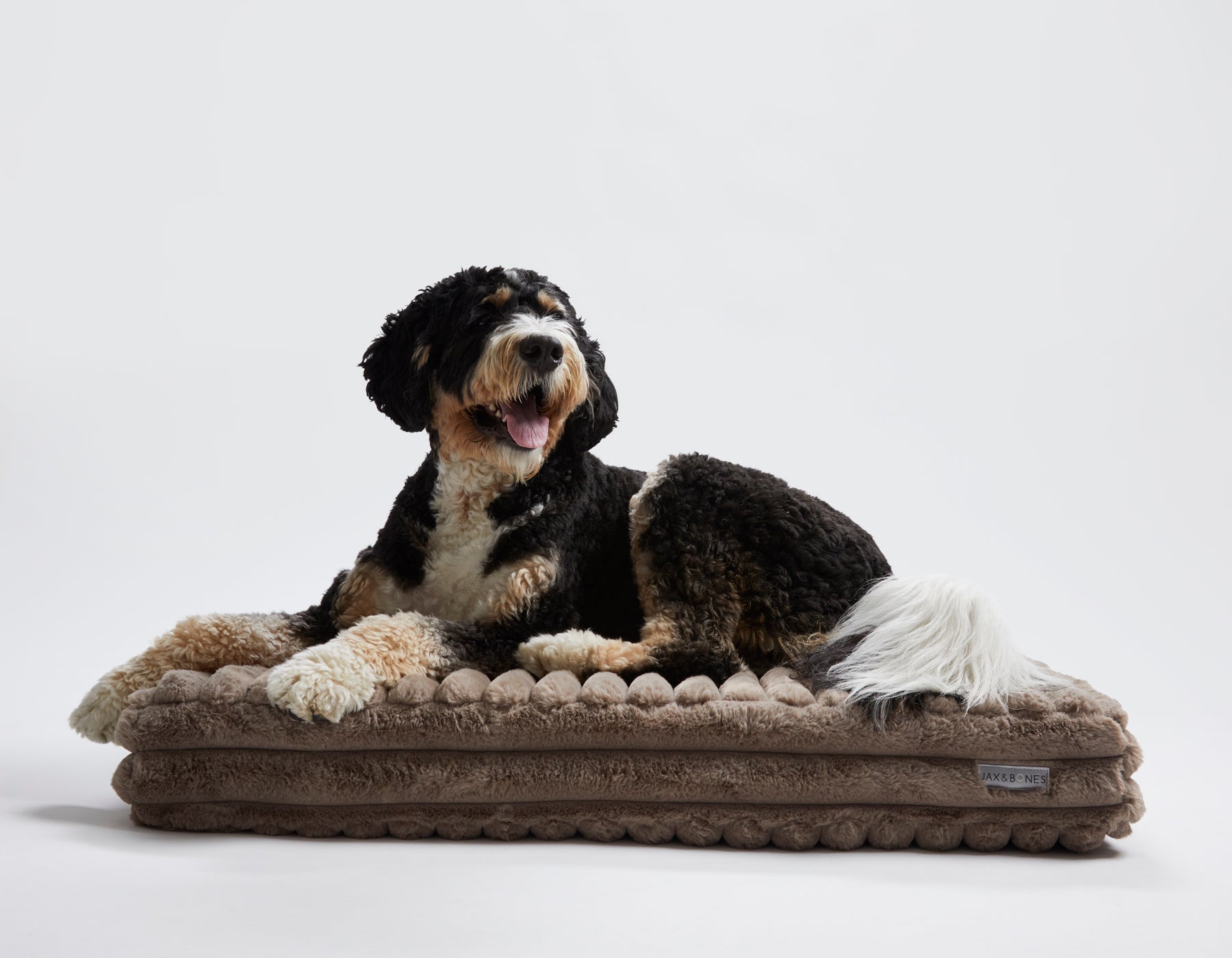 Big Dog XL Orthopedic Pillow With Corduroy Taupe Cover