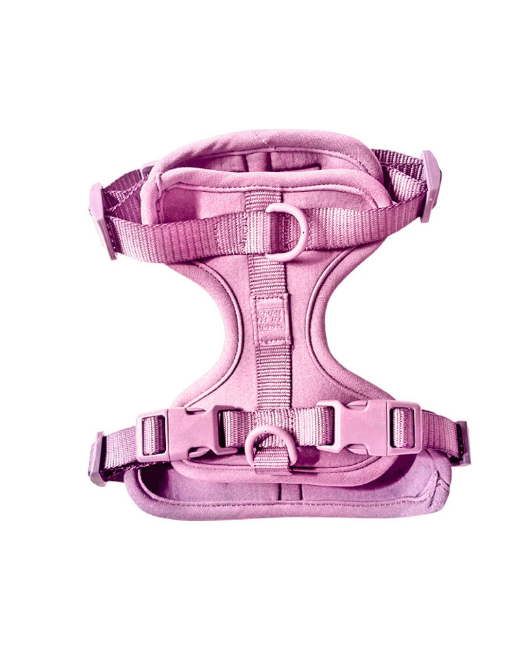 Cute lightweight cushioned dog harness