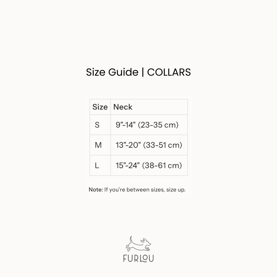Luxury Velvet Dog Collar | Chic Green