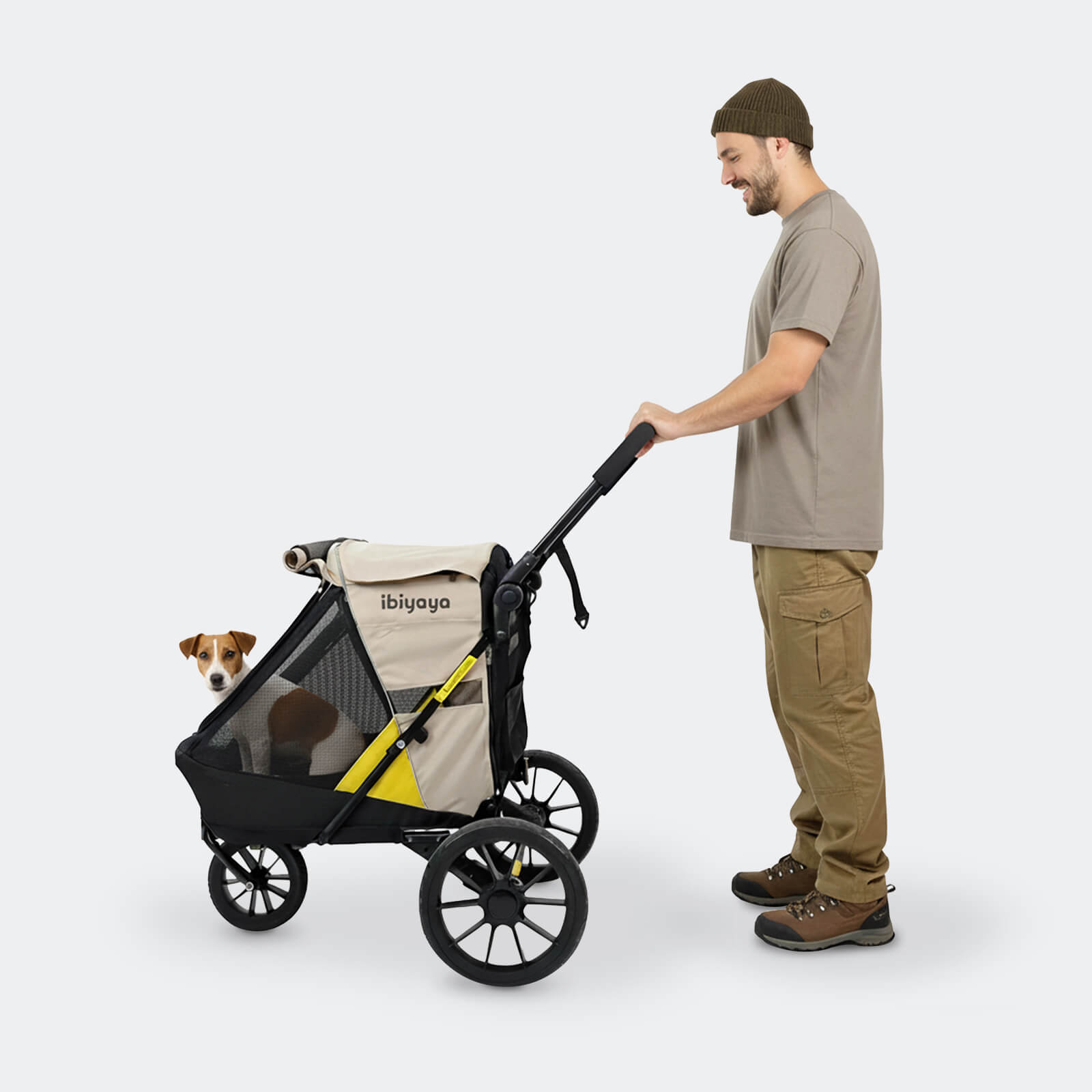 Dog owner pushing a dog stroller with a beagle breed puppy inside on a white background