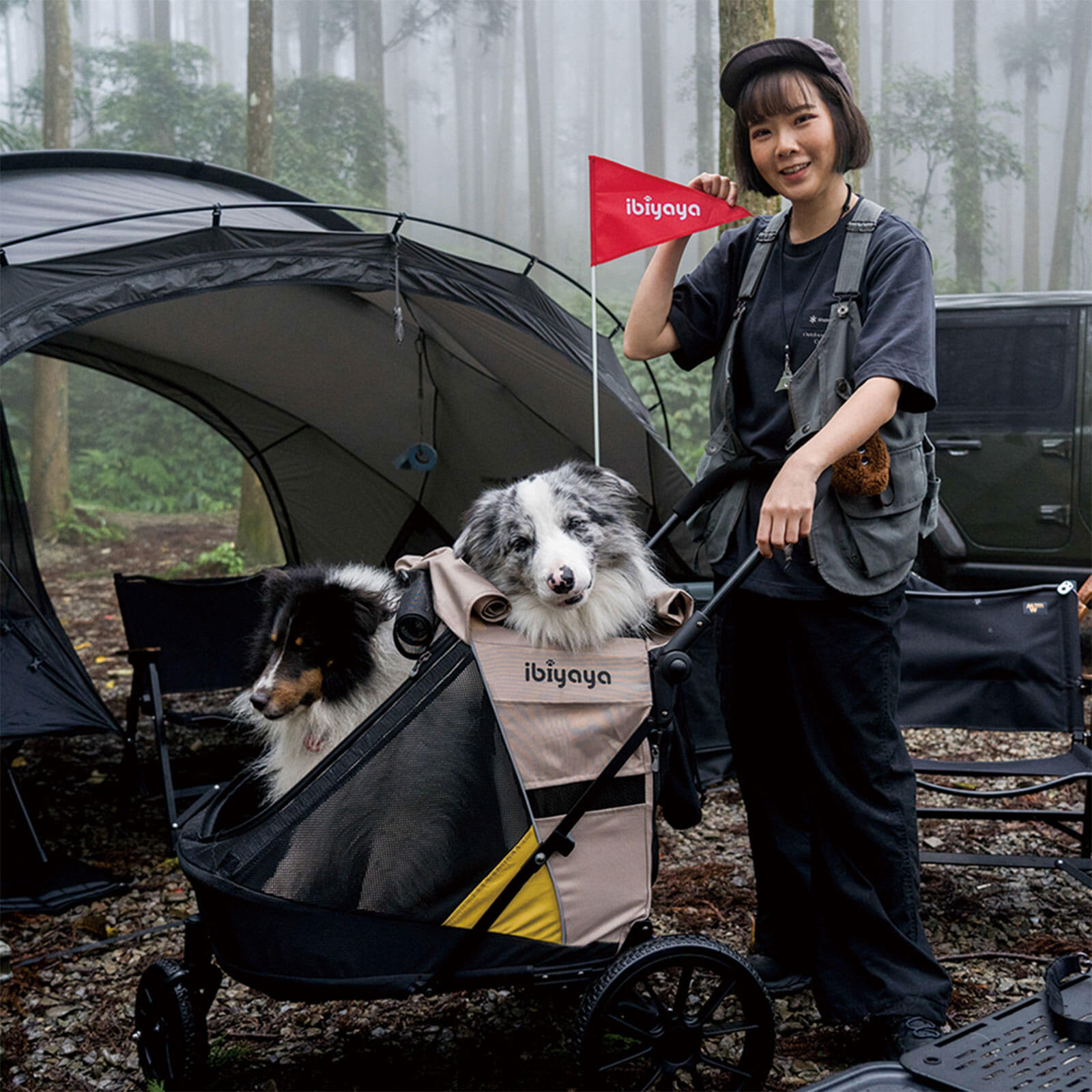 dog lover with two large size dogs inside a pet stroller outdoors, with 'ibiaya' branding visible.
