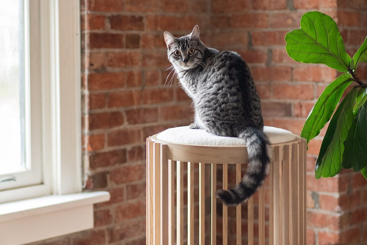 Modern Cat Tower Bed Mid-Century Style