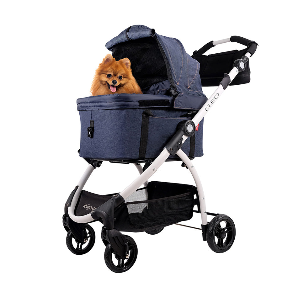 Small dog on Ibiyaya pet stroller