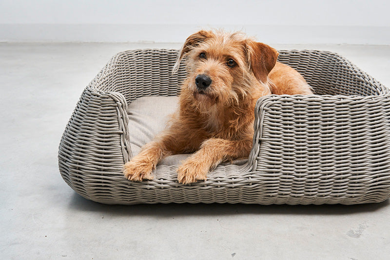 Miacara Mio Rope Indoor & Outdoor Unchewable Dog Basket Bed