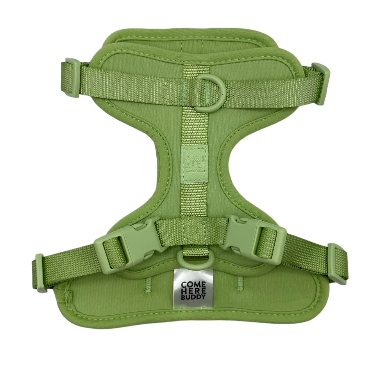 Cute lightweight cushioned dog harness