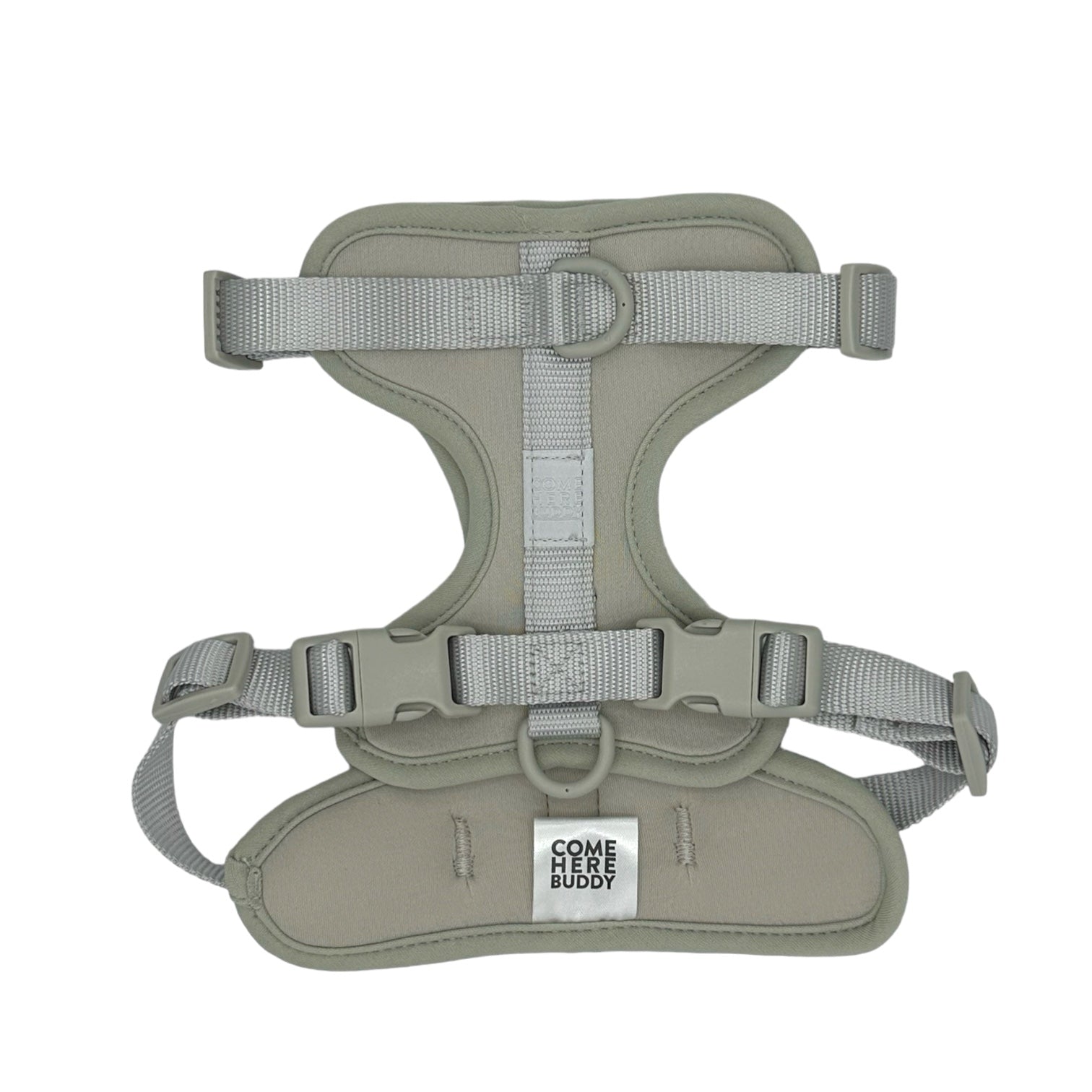 Cute lightweight cushioned dog harness