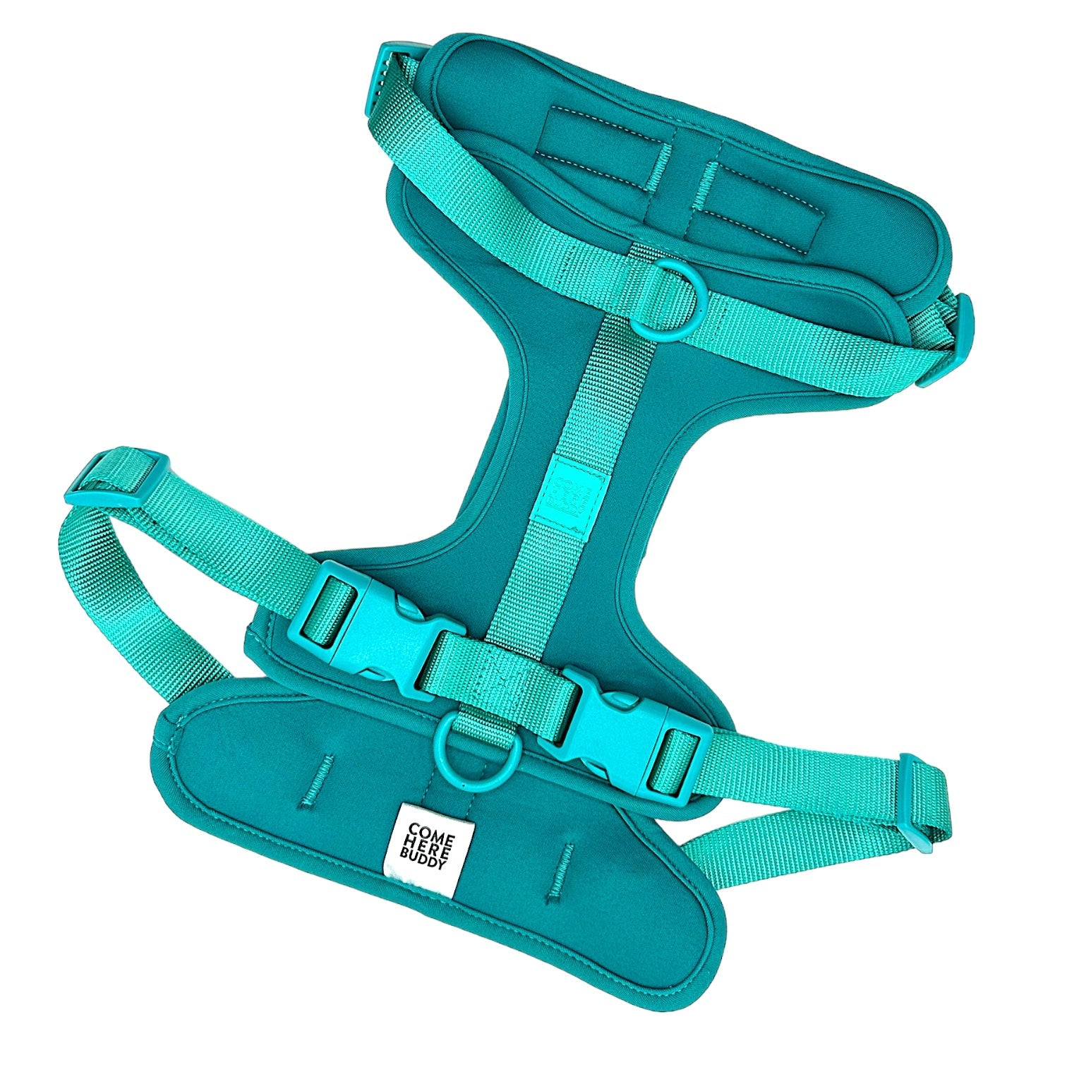 Cute lightweight cushioned dog harness
