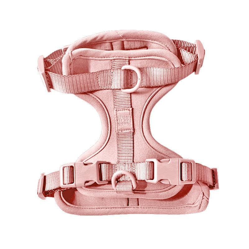 Cute lightweight cushioned dog harness