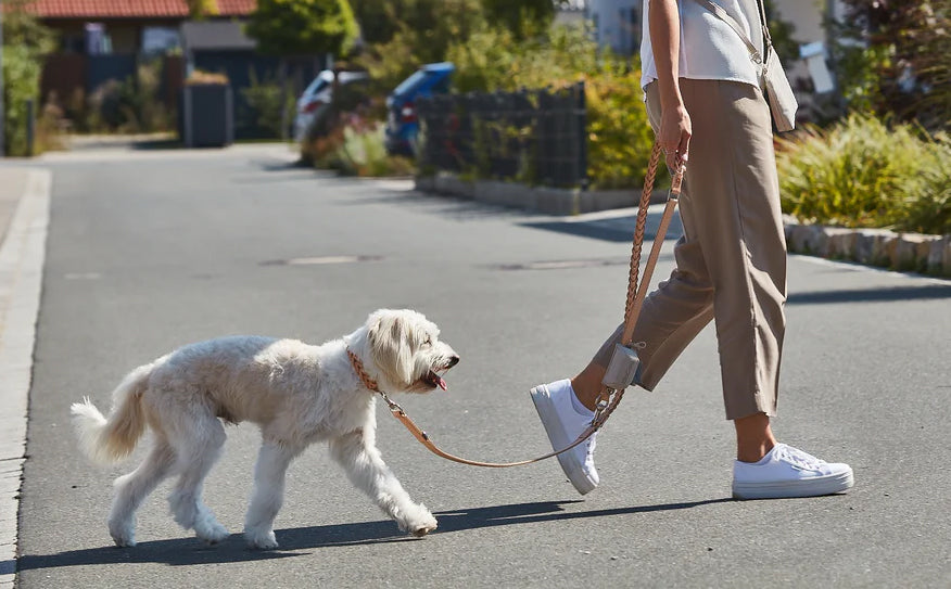 Miacara Bergamo braided Leather Long Dog Leash 6 Feet