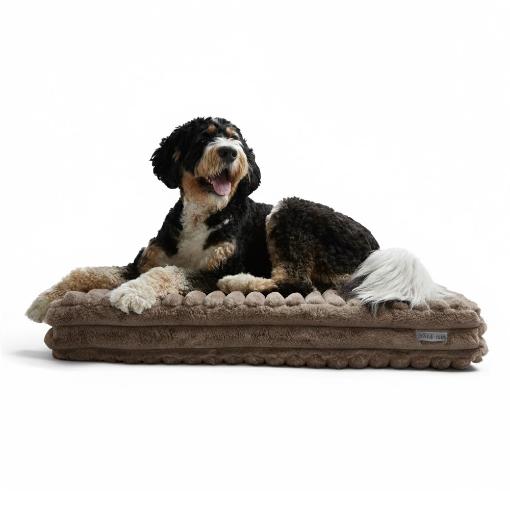 Big Dog XL Orthopedic Pillow With Corduroy Taupe Cover