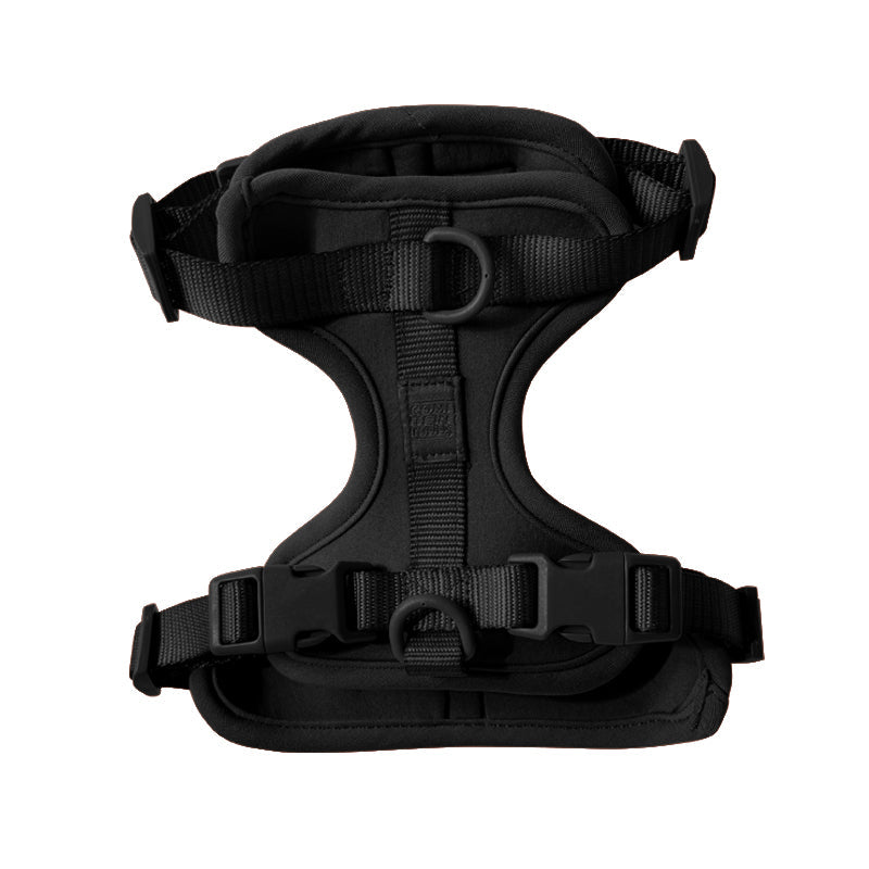 Cute lightweight cushioned dog harness