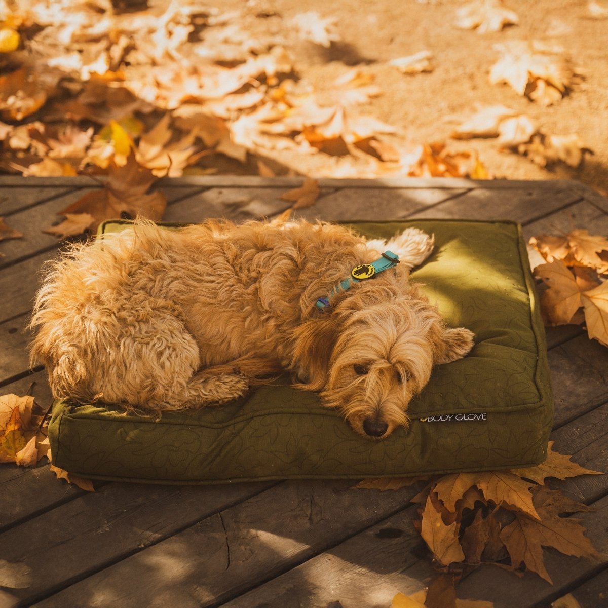 Body Glove pet bed with water-resistant removable canvas cover