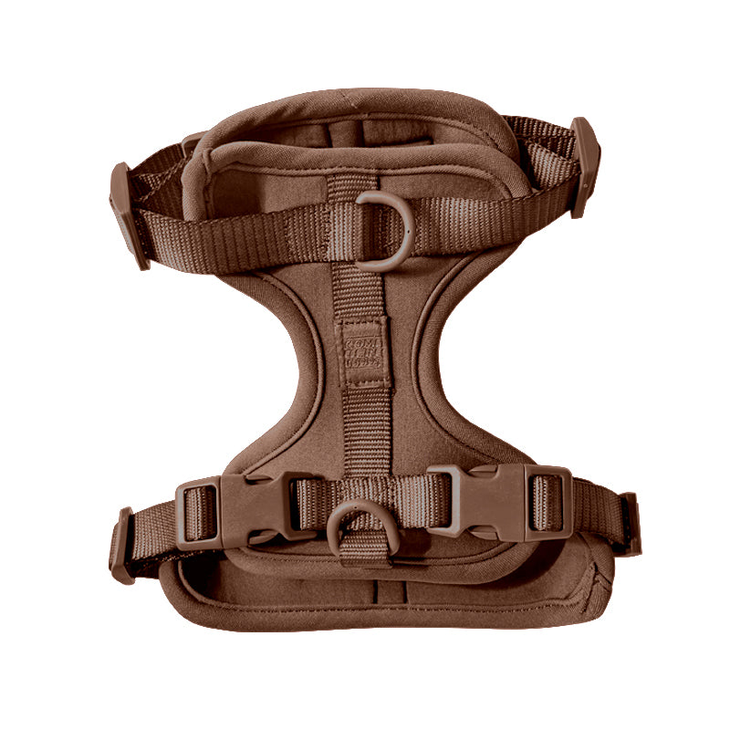 Cute lightweight cushioned dog harness