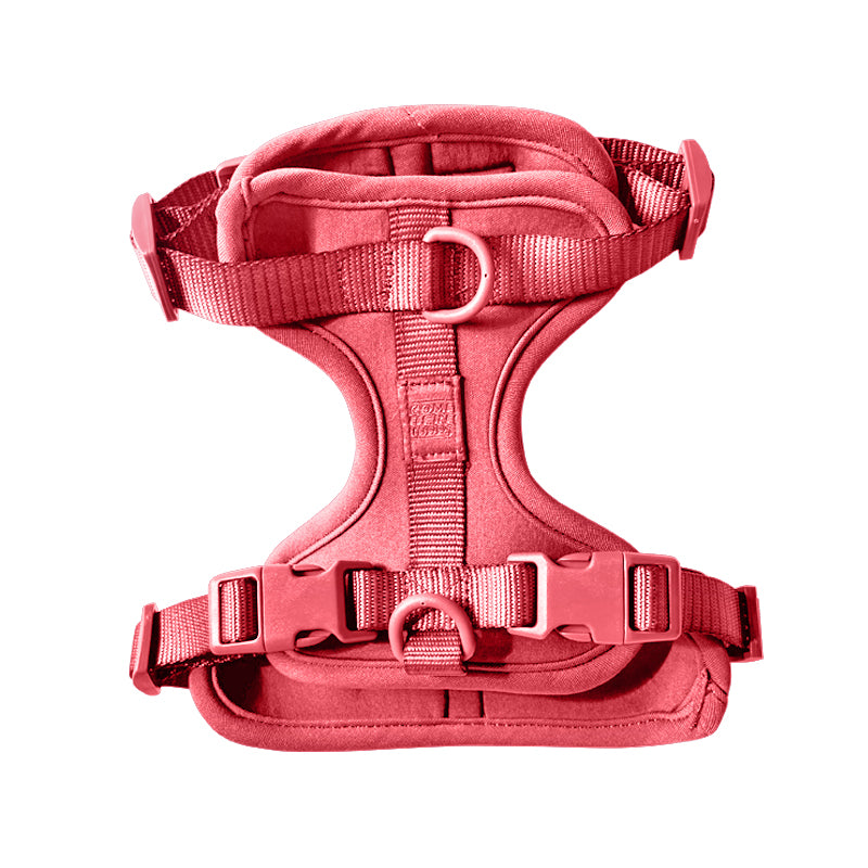 Cute lightweight cushioned dog harness