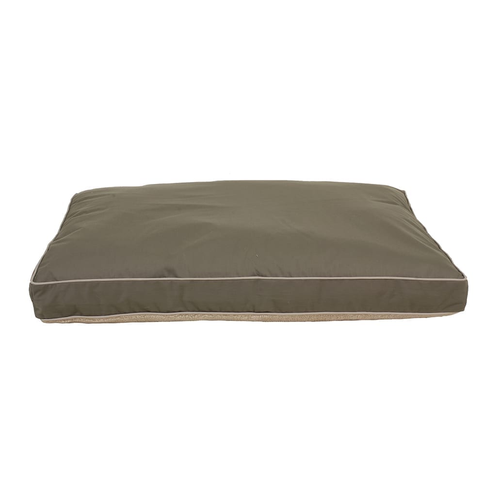 Green pet bed with white trim on a white background