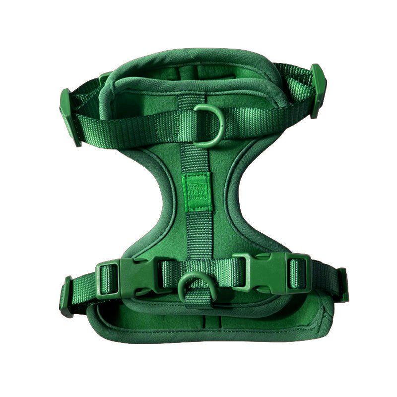 Cute lightweight cushioned dog harness