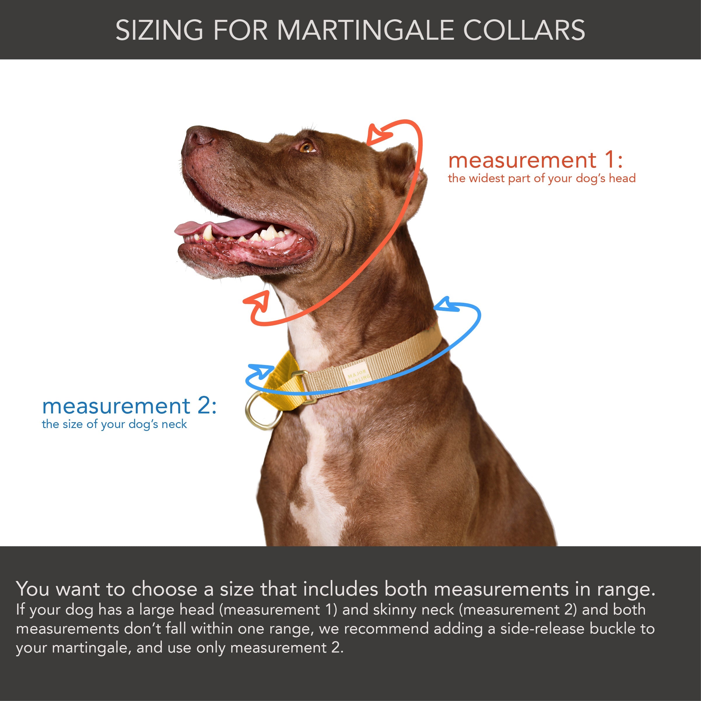 martingale training collar for pullers  | peach + pink