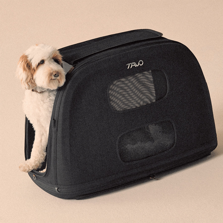 Tavo Crispin Soft-Sided Pet Crate & Carrier For Travel