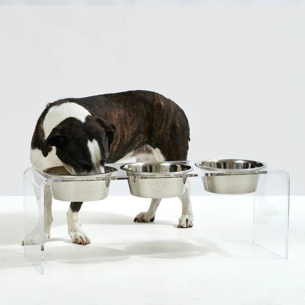 Three bowl elevated dog feeder with acrylic stand & lead-free stainless steel bowls