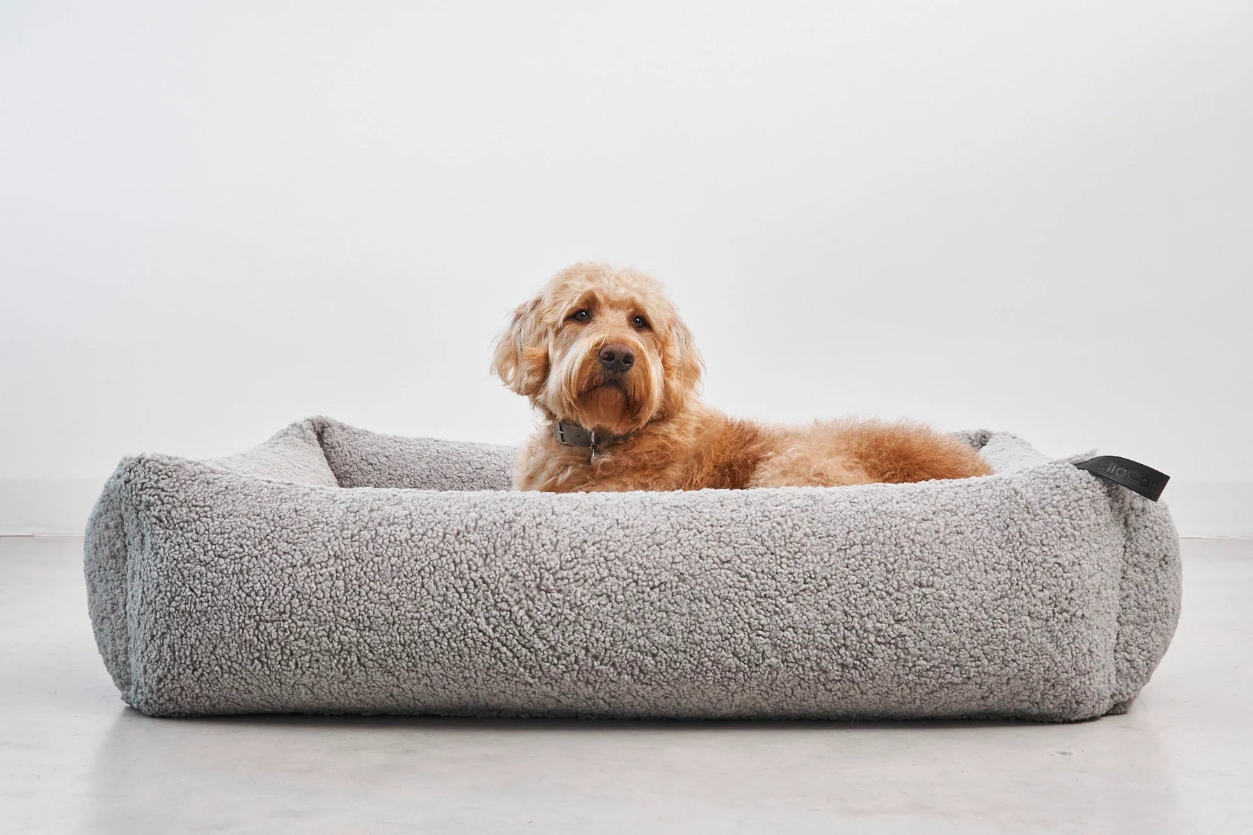 Medium size terrier resting on Miacara senso cotton boucle dog bed 
