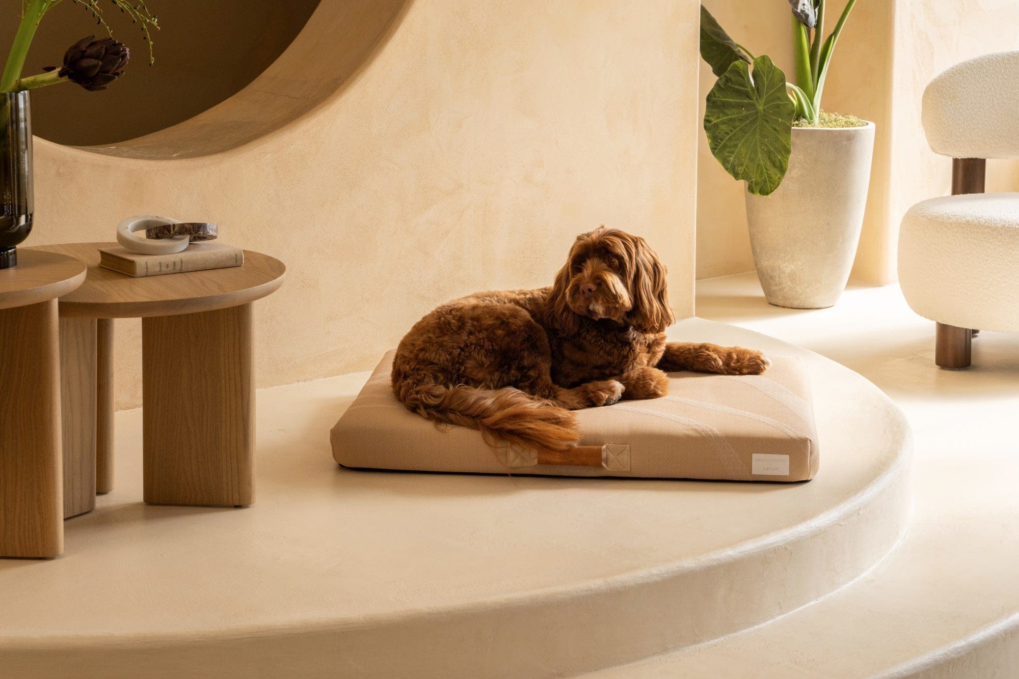 Brigette Romanek | Designer Dog Bed With Removable Luxury Cover - Taupe