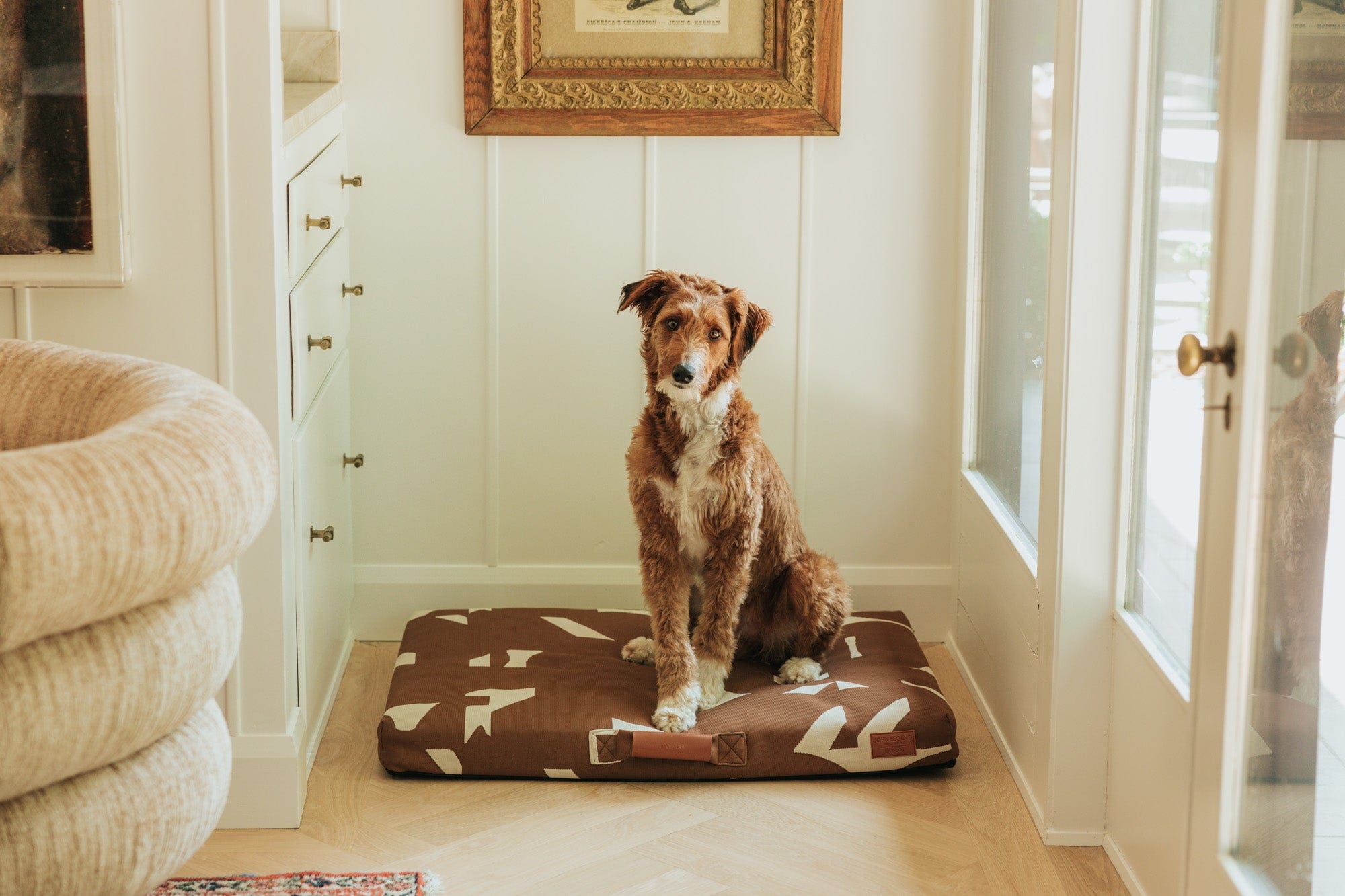 John Legend | Designer Dog Bed | Brown Fragment With Removable Cover