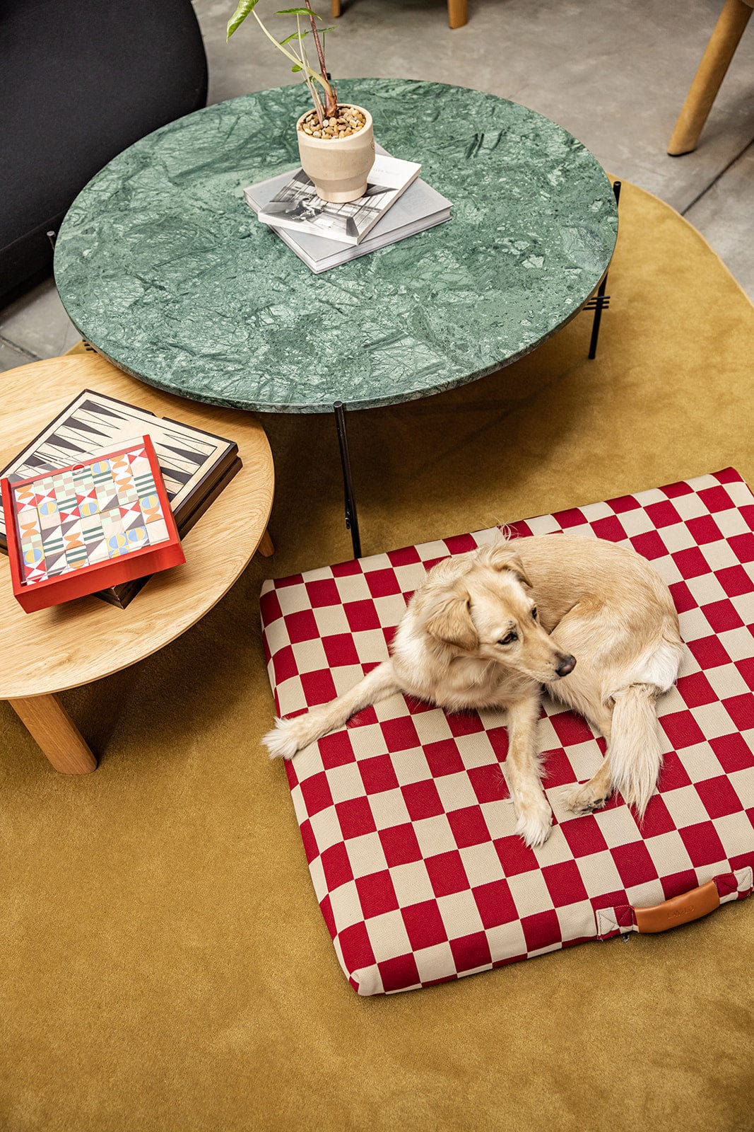 Eco-friendly, Designer Dog Bed with Red Checker Washable Cover