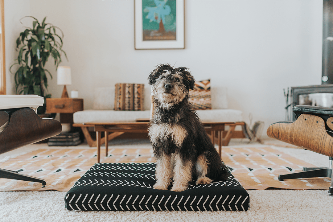Black Chevron | Designer Dog Bed – Orthopedic, Washable & Removable Cover