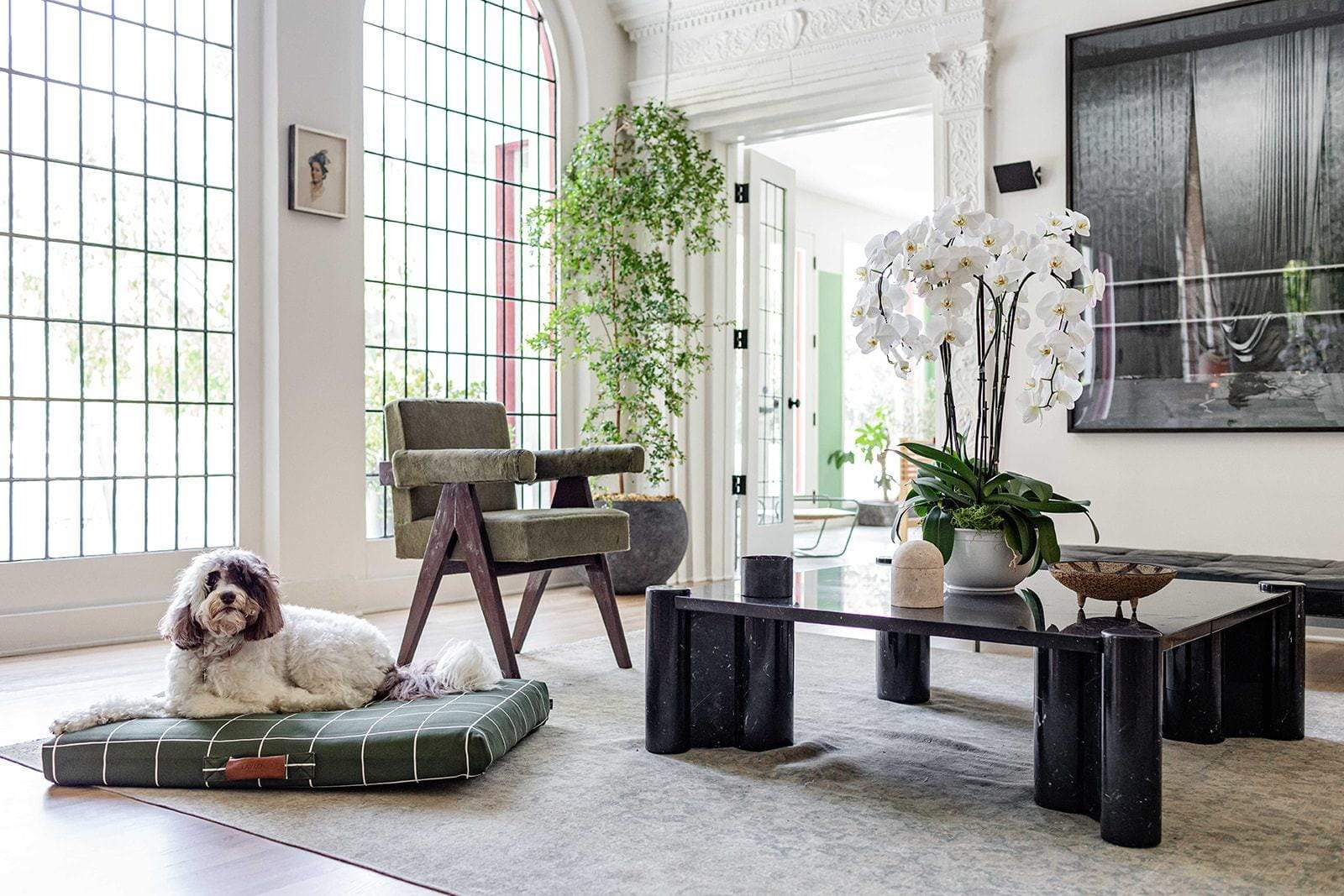 Hunter Green Grid | Designer Dog Bed With Removable Cover