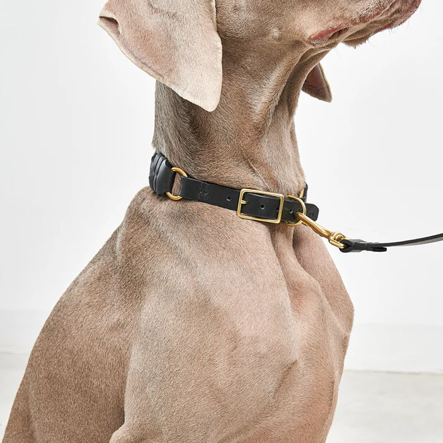 Miacara Leather Dog Collar & Leash Set