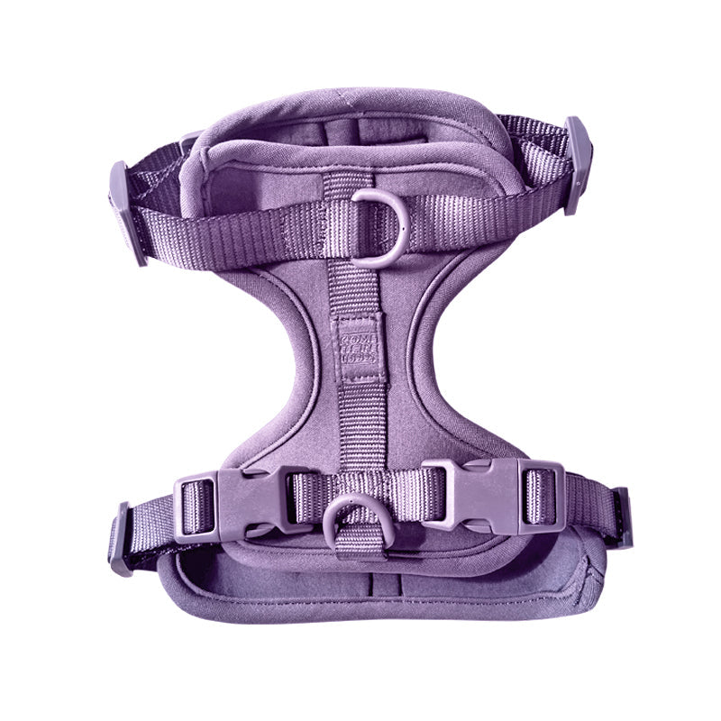 Cute lightweight cushioned dog harness