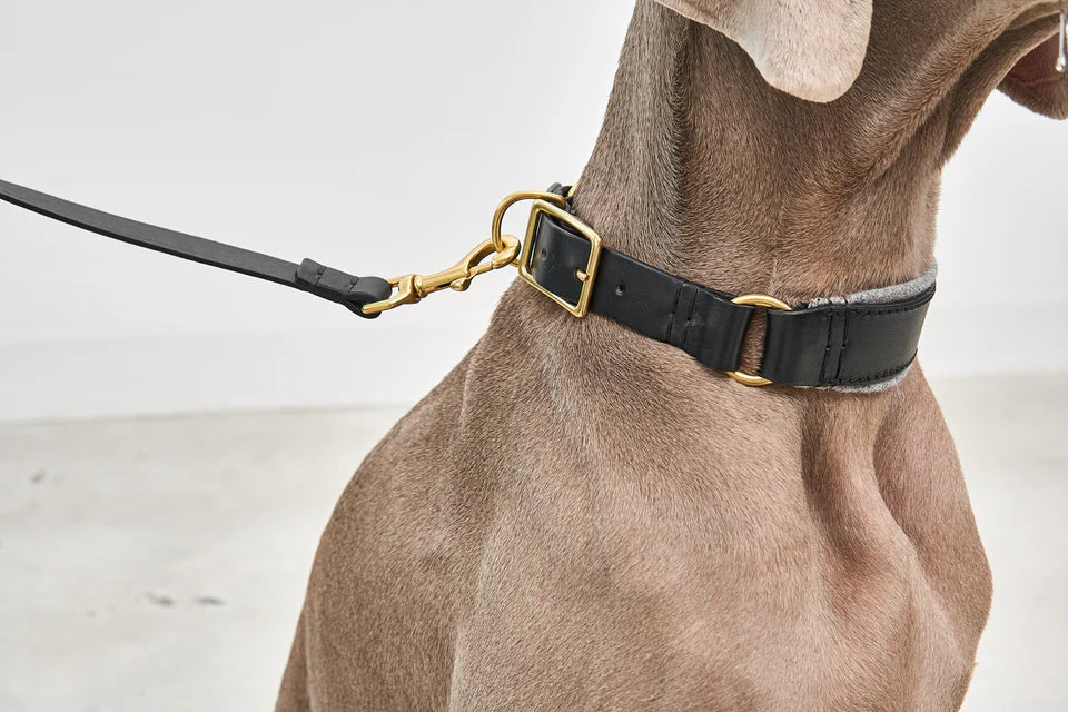 Miacara Siena Leather Dog Collar & Leash