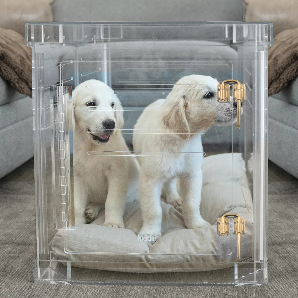 Puppies inside a stylish acrylic dog gate