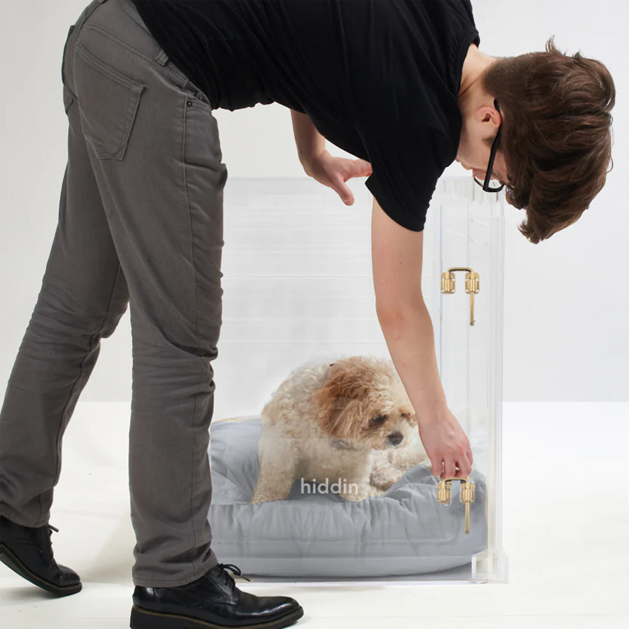 Medium size dog crate with cushion