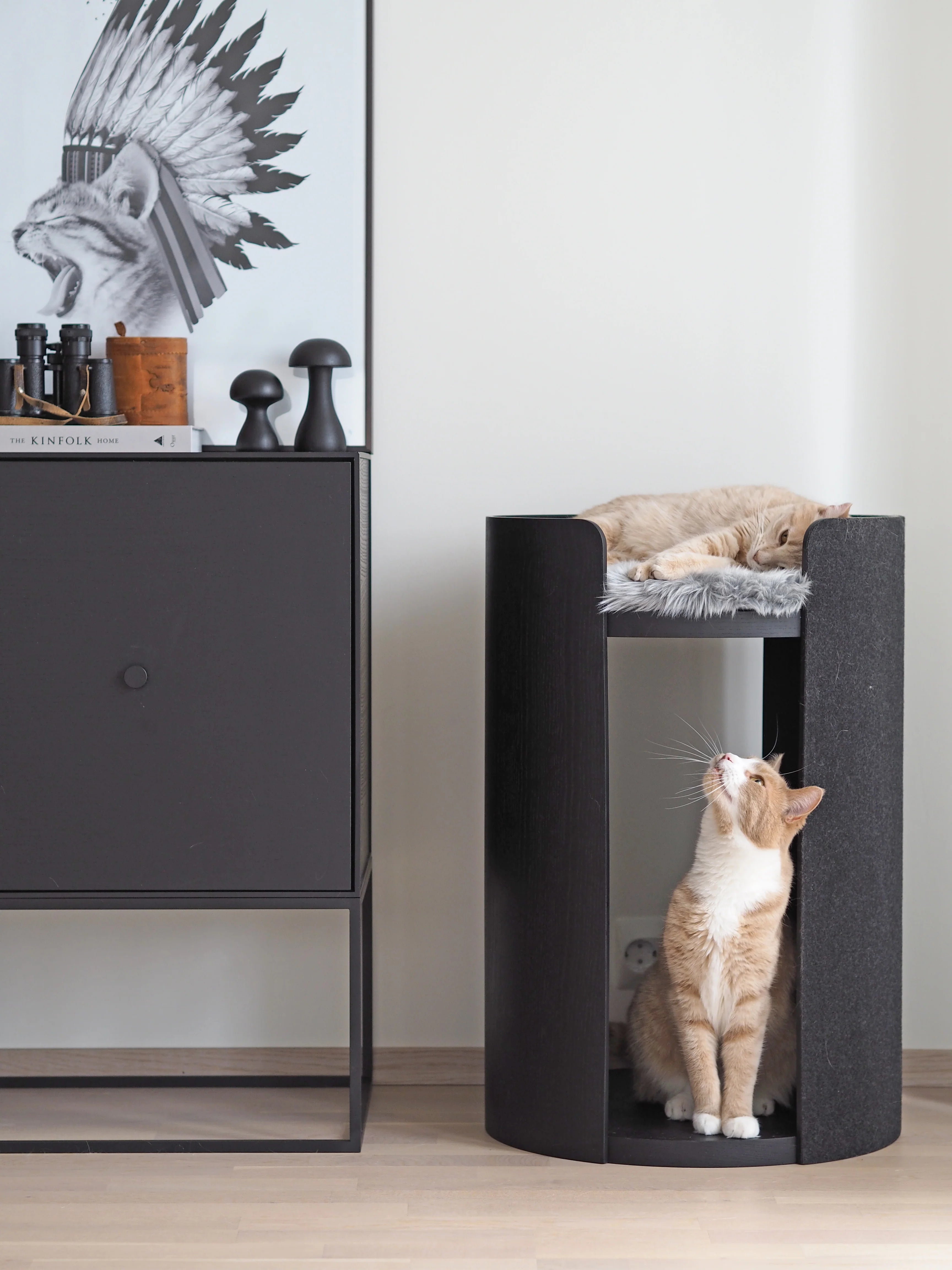Two large orange cats on Miacara designer cat scratching post