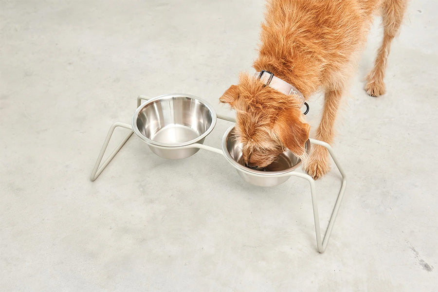 Miacara Cena Dog Feeder With High Quality Stainless Steel Bowls