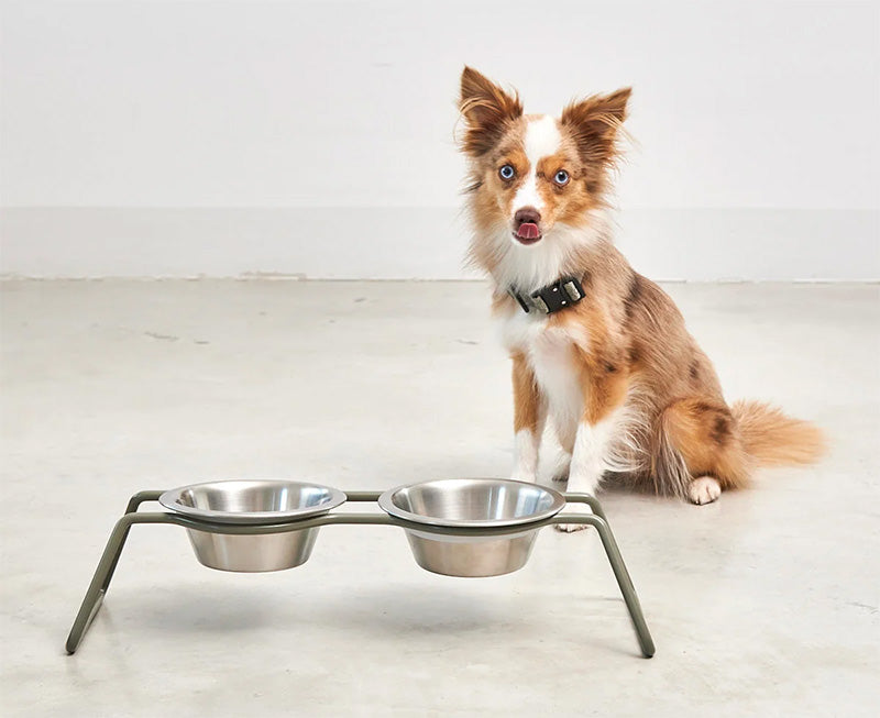 Miacara Cena Dog Feeder With High Quality Stainless Steel Bowls