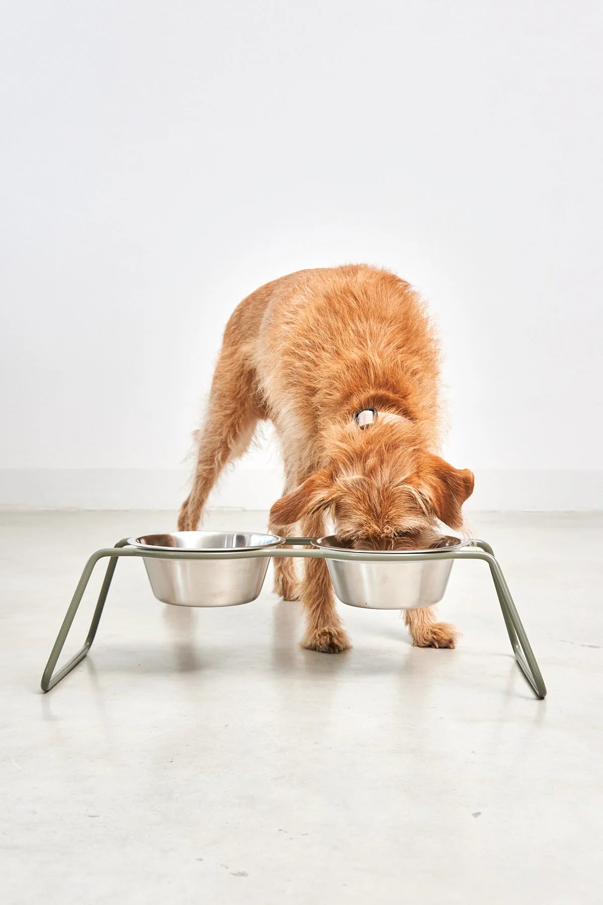 Miacara Cena Dog Feeder With High Quality Stainless Steel Bowls