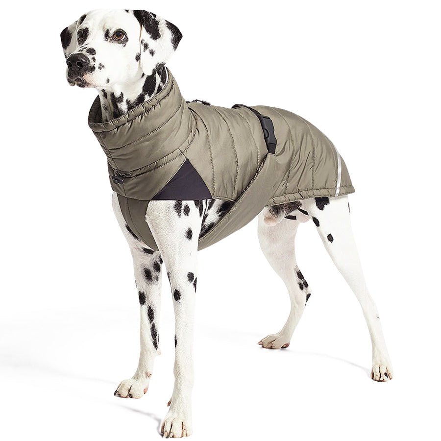 Luxury cosima winter dog jacket for large size breeds