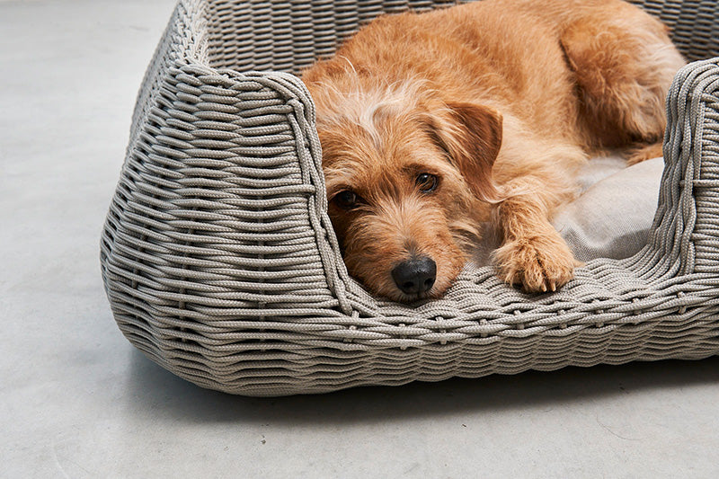 Miacara Mio Rope Indoor & Outdoor Unchewable Dog Basket Bed
