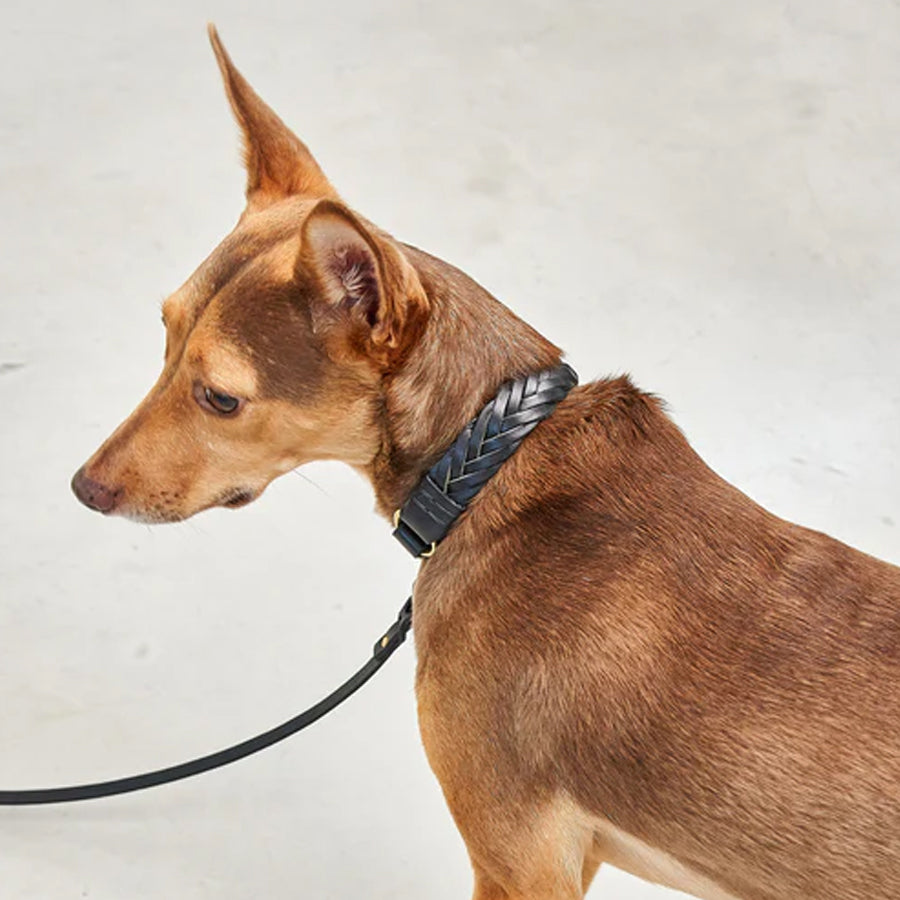 Miacara Leather Dog Collar & Leash Set