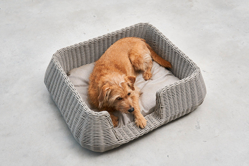 Miacara Mio Rope Indoor & Outdoor Unchewable Dog Basket Bed