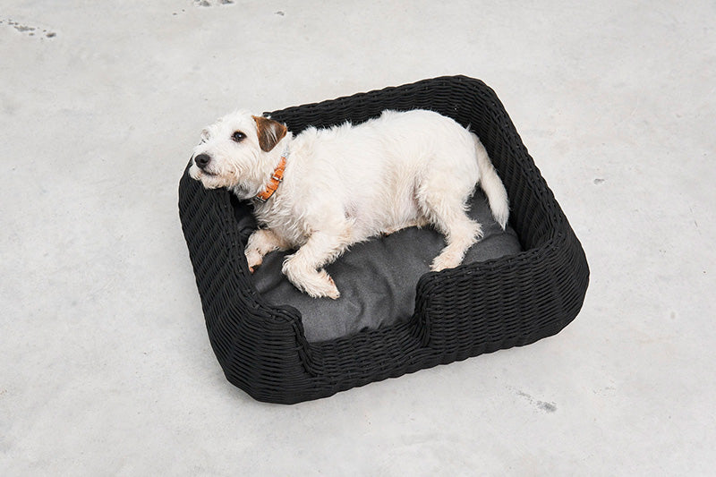 Miacara Mio Rope Indoor & Outdoor Unchewable Dog Basket Bed